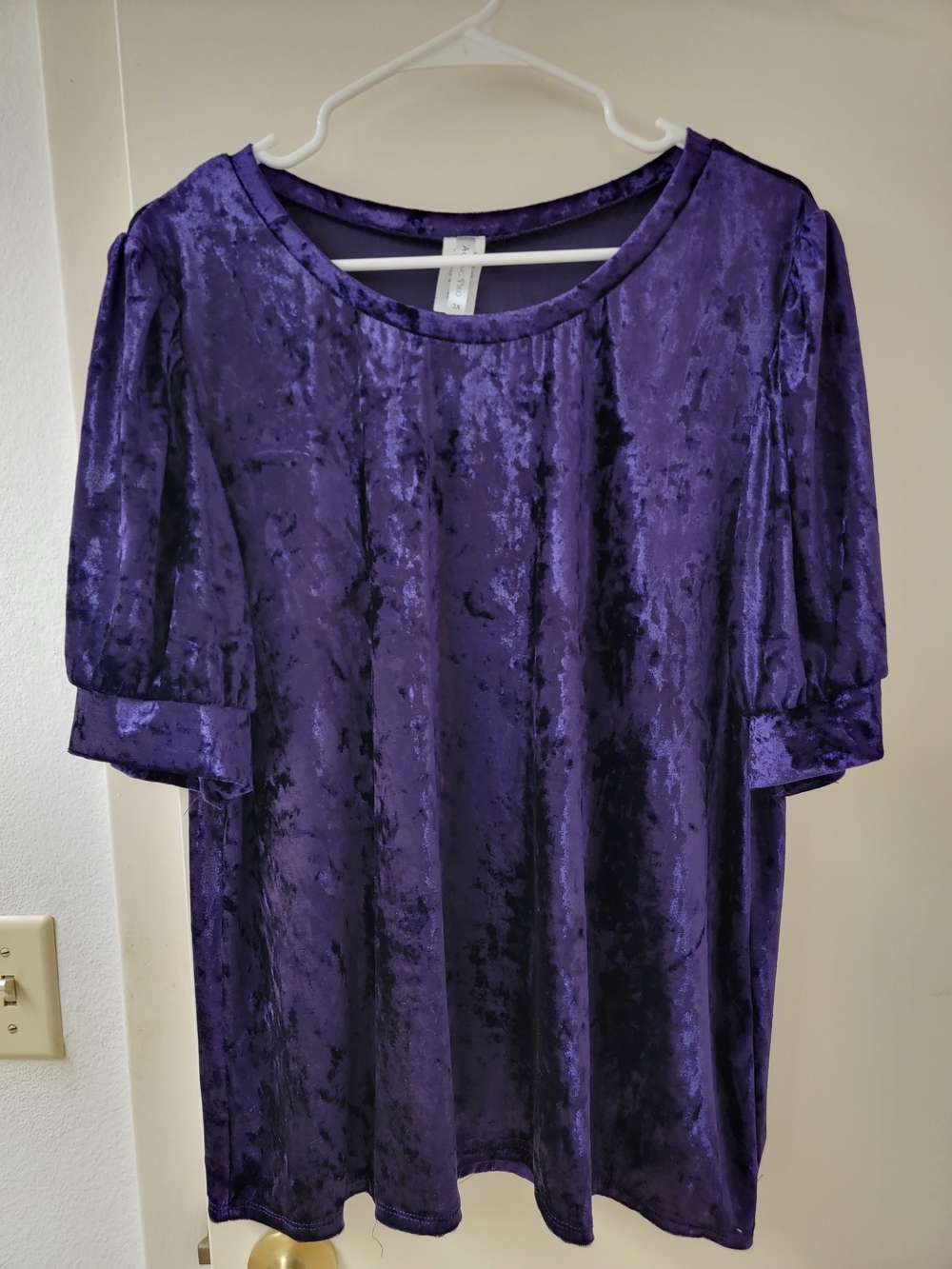 Acting Pro Crushed Velvet Scoop Neck Puff Sleeve Top - Purple